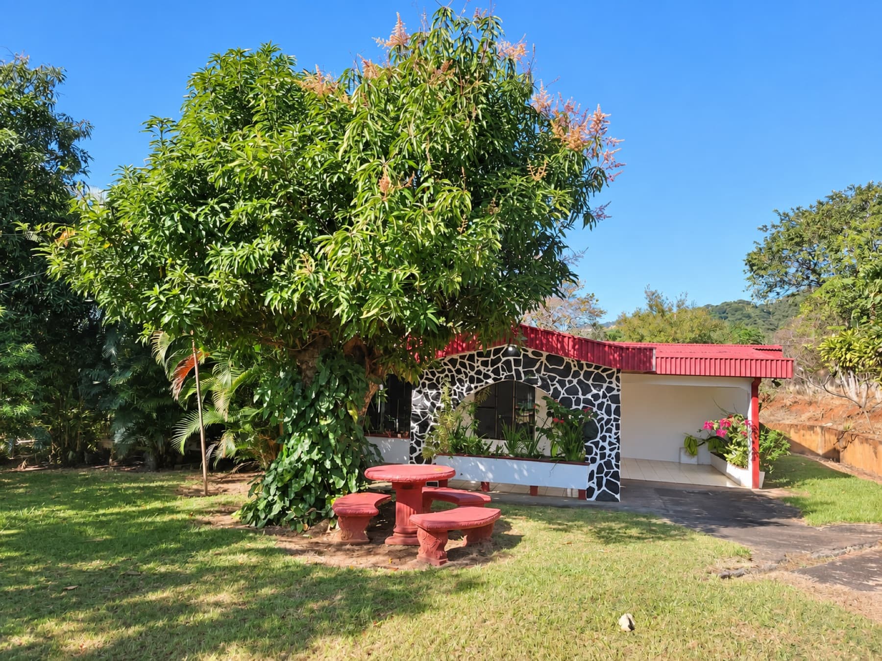 Side facade of the house and covered carport