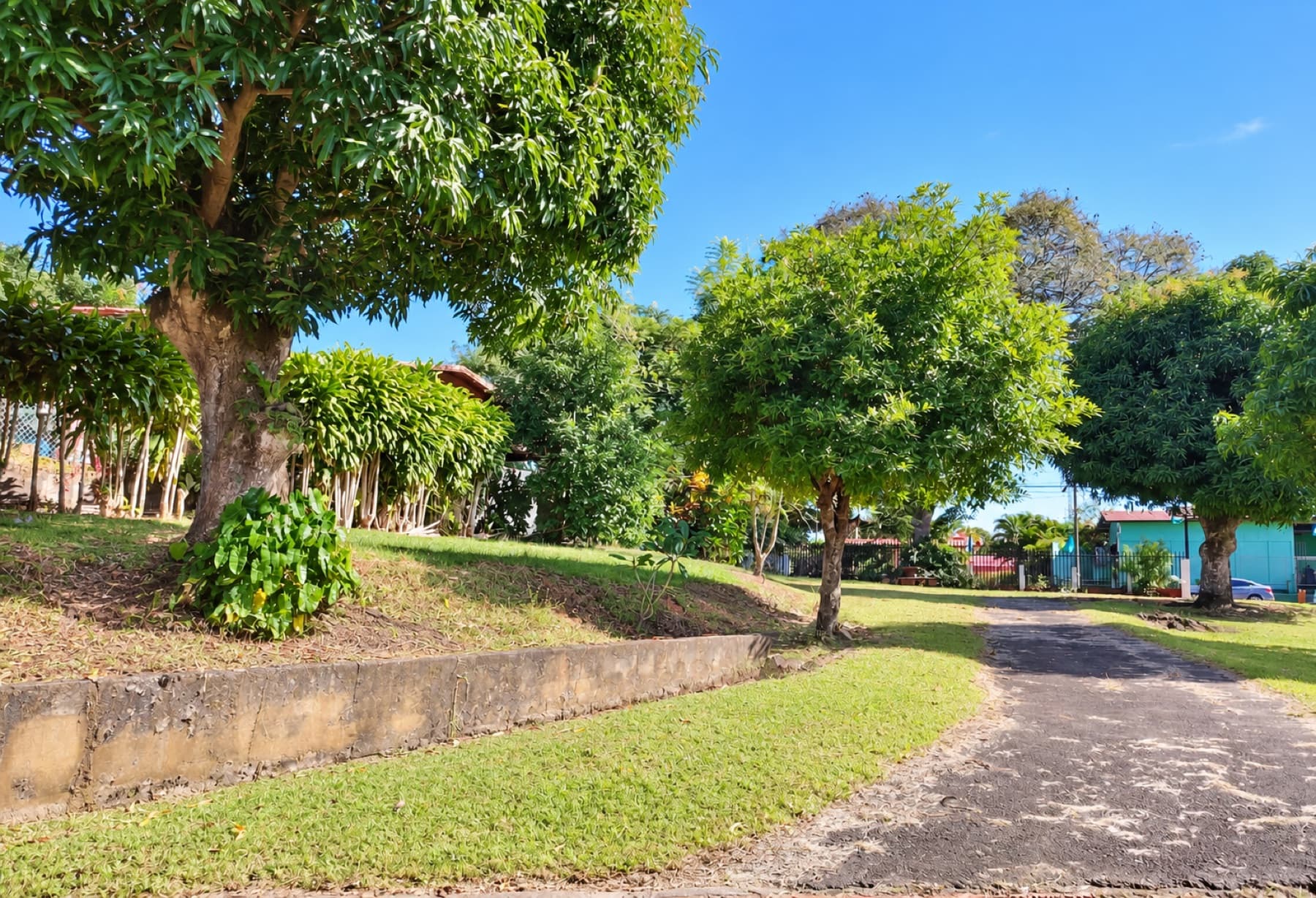 Entrance to the house from the street