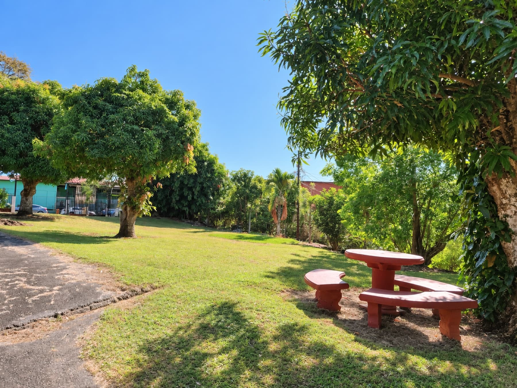 Large green area of the lot