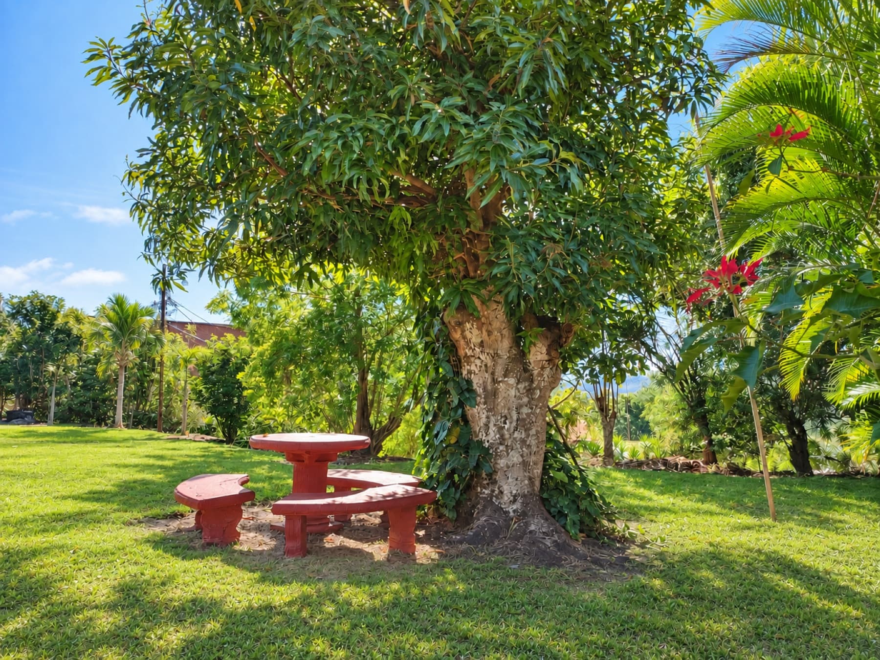 Garden with lawn and trees