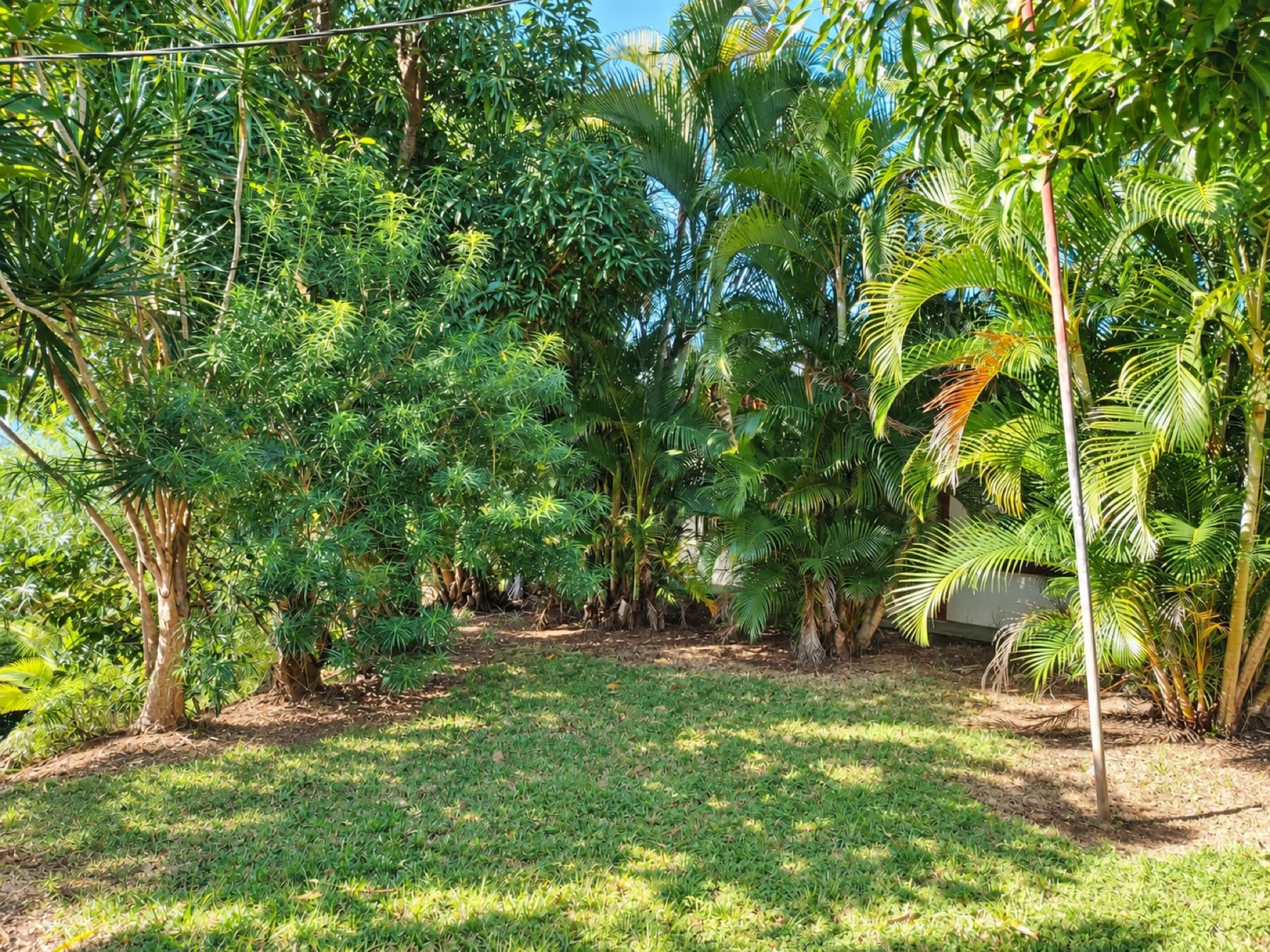 Green area next to the house