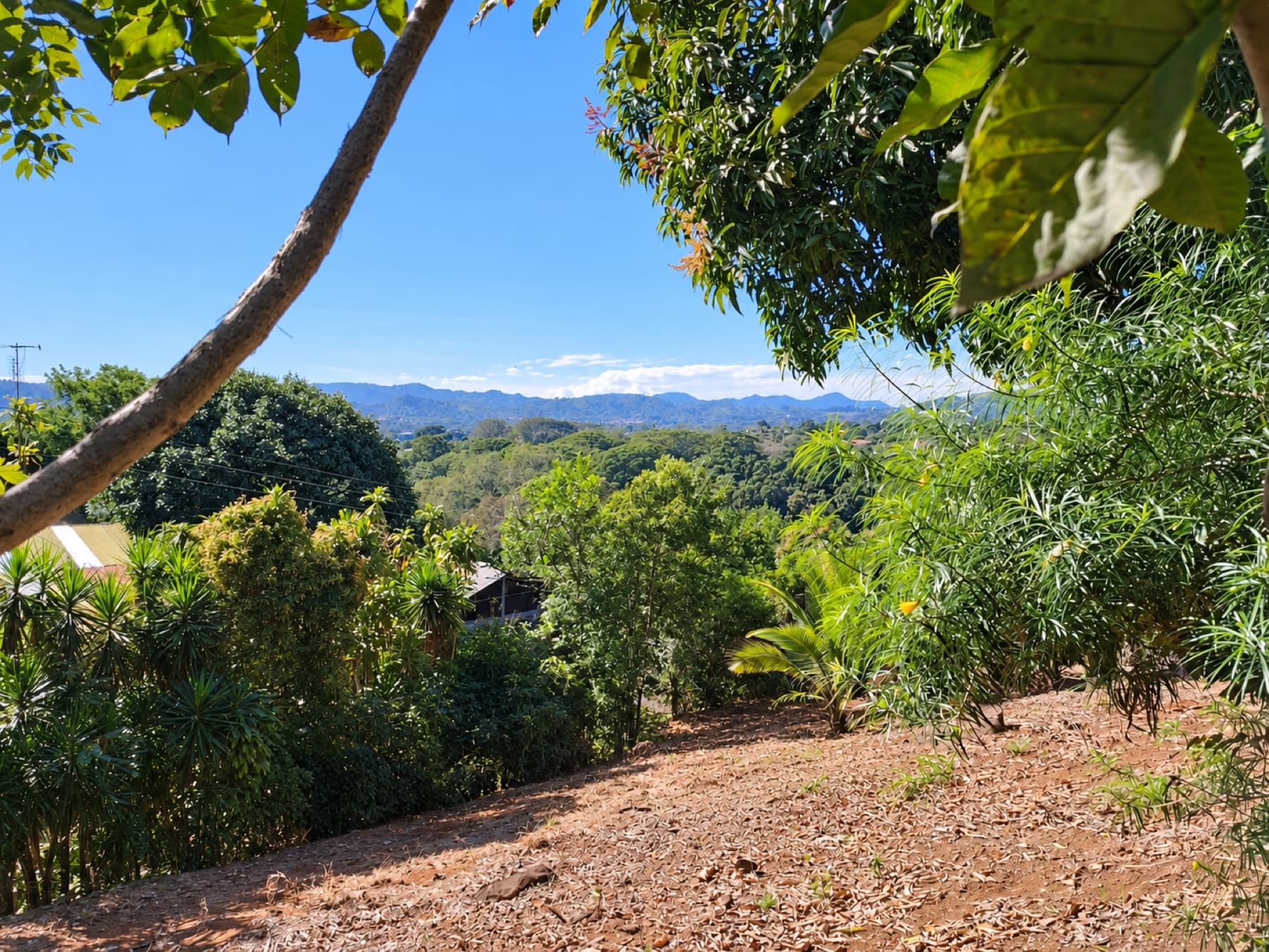 Open view from the side lot